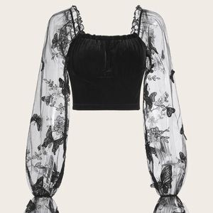 Crop sheer butterfly top